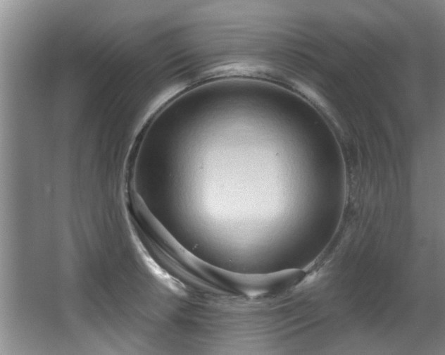 X0000068271042200604241252