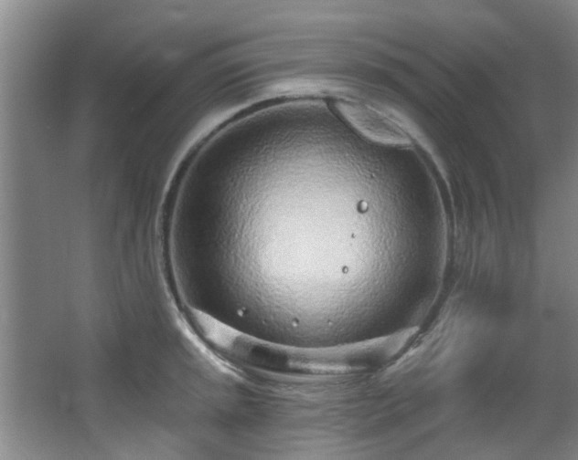 X0000068271045200604241253