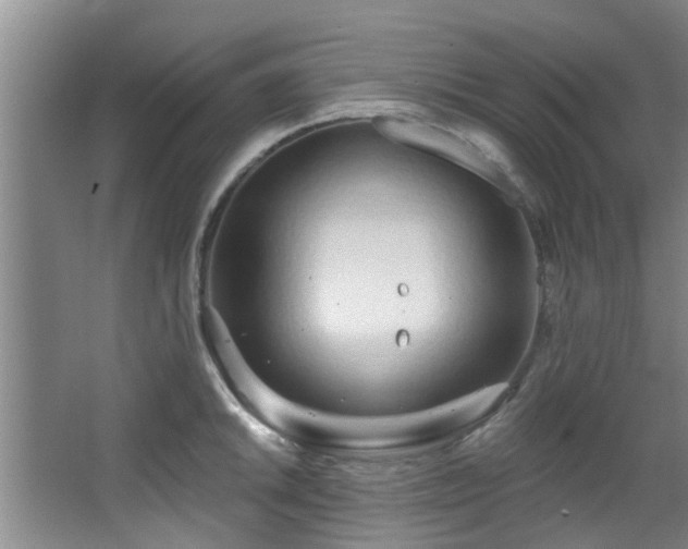 X0000068271046200604241253