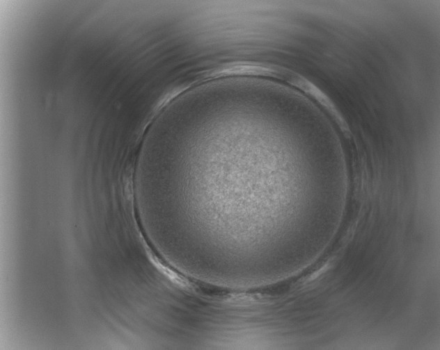 X0000068271049200604241253