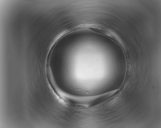 X0000068271050200604241253