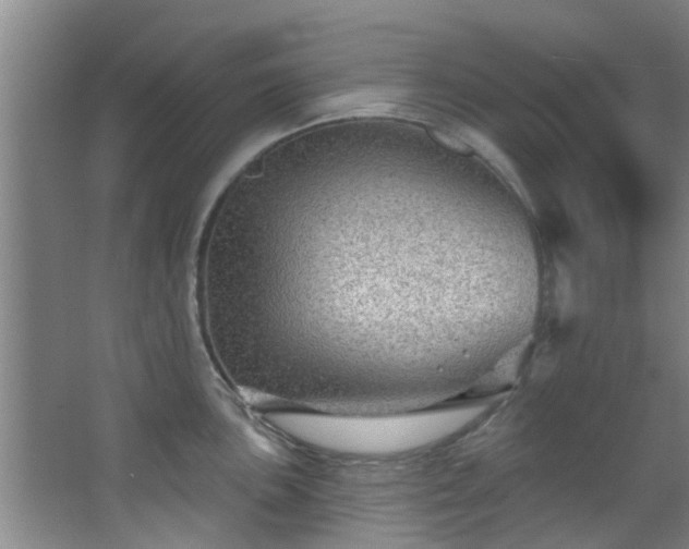 X0000068271051200604241253