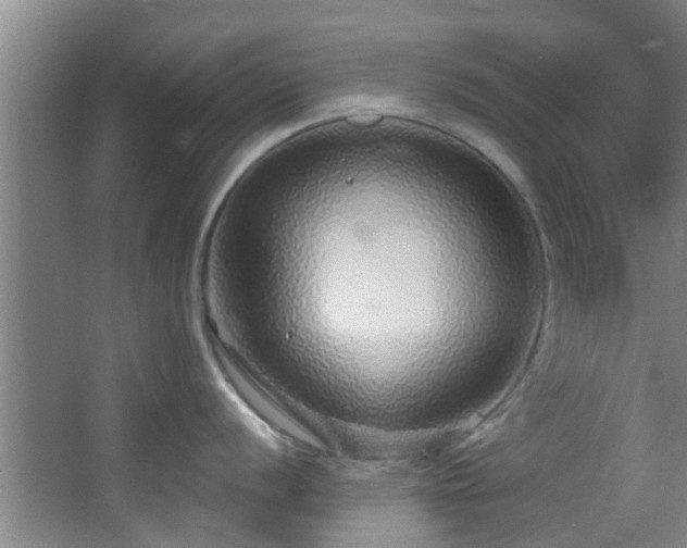 X0000068271056200604241253