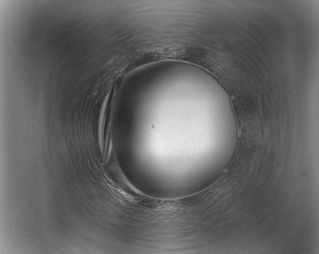 X0000068271058200604241252