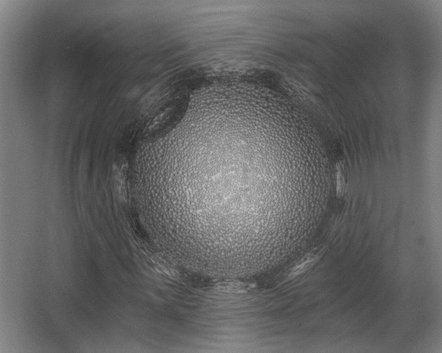 X0000068271059200604241252