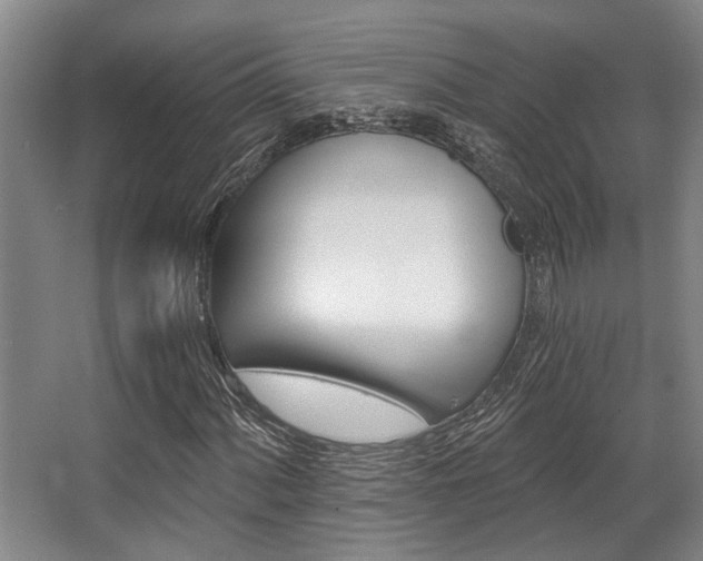 X0000068271060200604241252