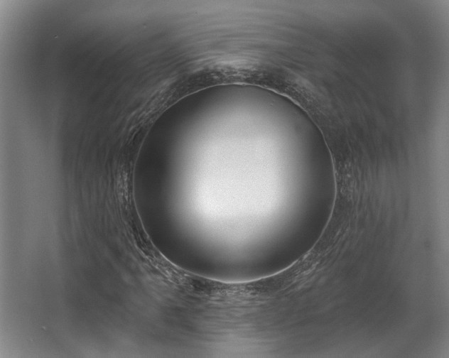 X0000068271061200604241252