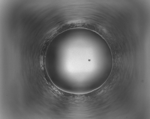 X0000068271062200604241252