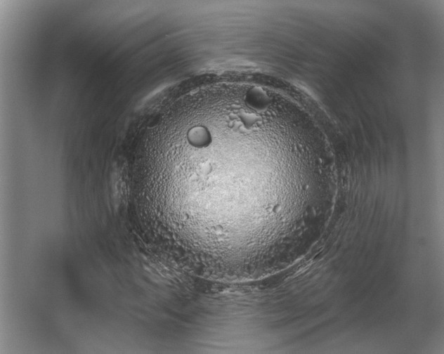 X0000068271063200604241252