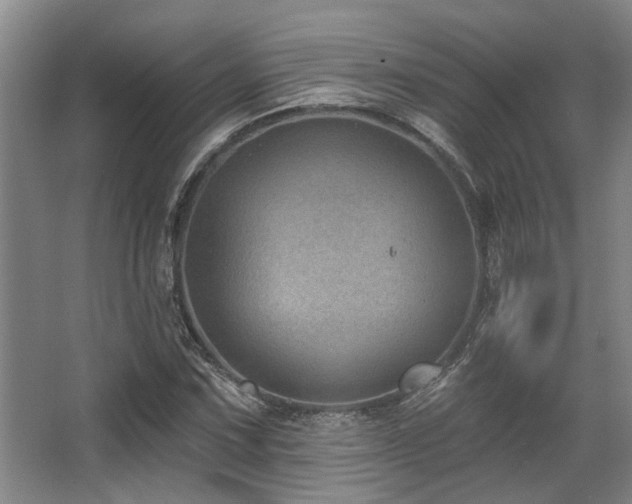 X0000068271067200604241252