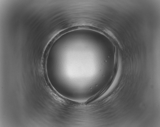 X0000068271068200604241252