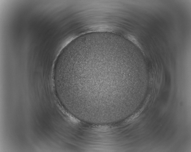 X0000068271071200604241252