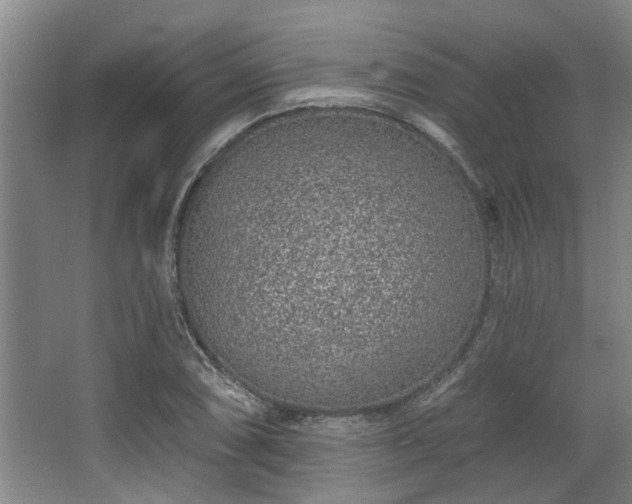 X0000068271074200604241252