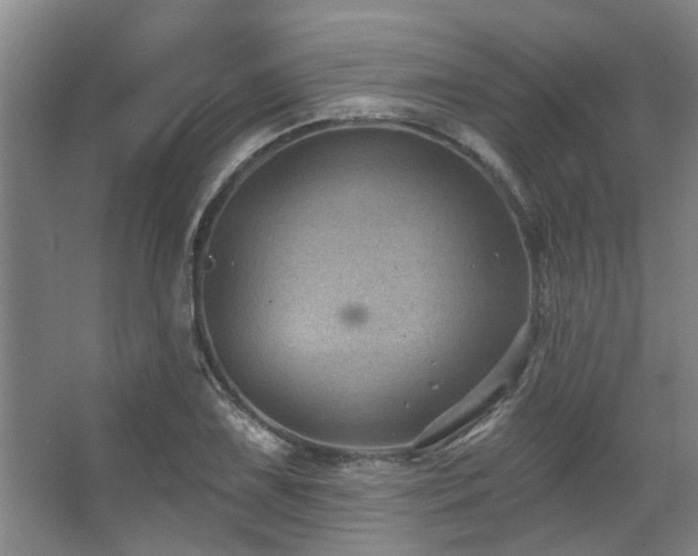 X0000068271075200604241252