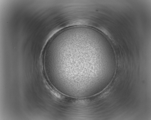 X0000068271078200604241252