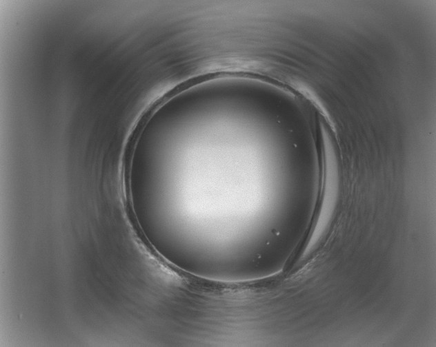 X0000068271080200604241251