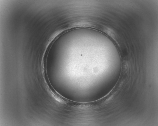 X0000068271082200604241251