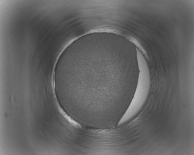 X0000068271084200604241251