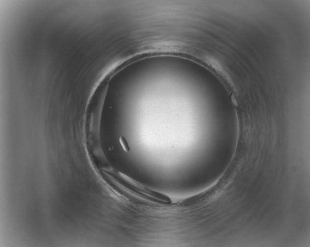 X0000068271085200604241251