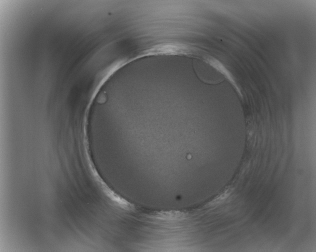 X0000068271091200604241251