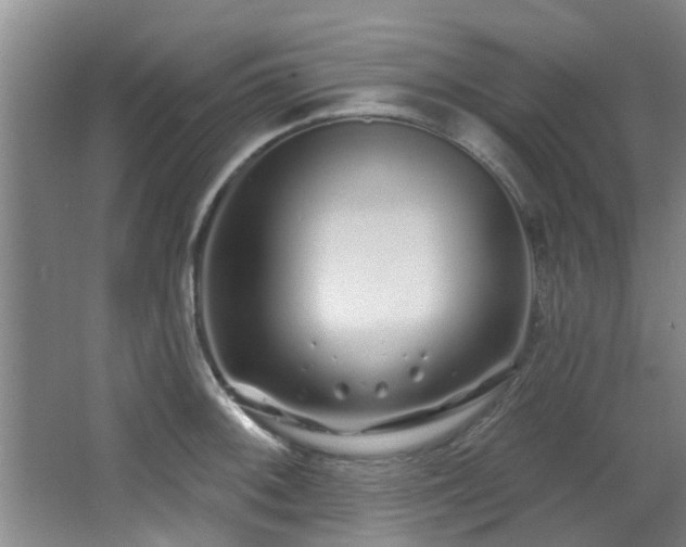 X0000068271092200604241251