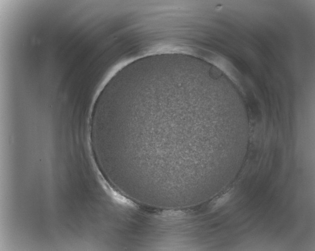 X0000068271094200604241251