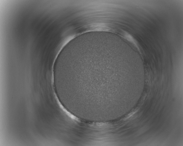 X0000068271095200604241251