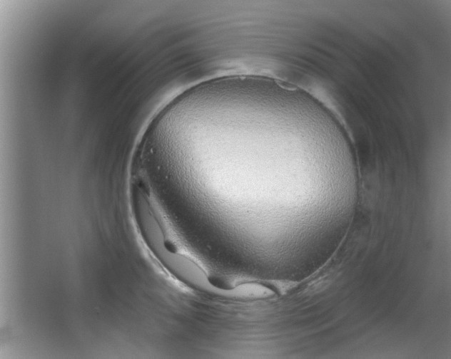 X0000068271096200604241251