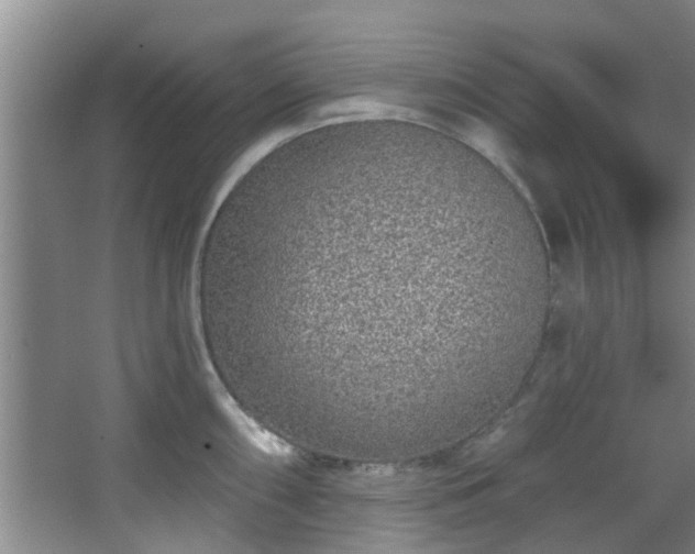 X0000068271098200604241251