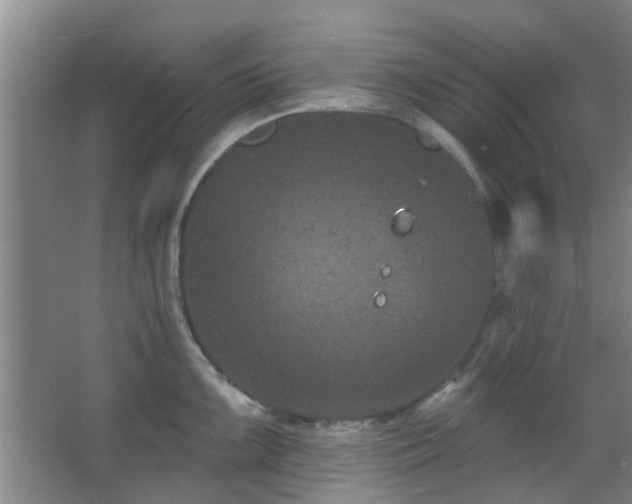 X0000068271099200604241251