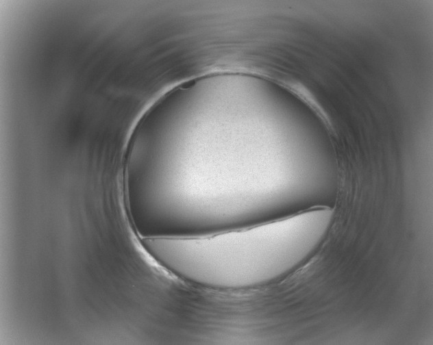 X0000068271100200604241251