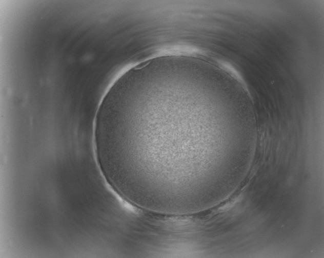 X0000068271103200604241251