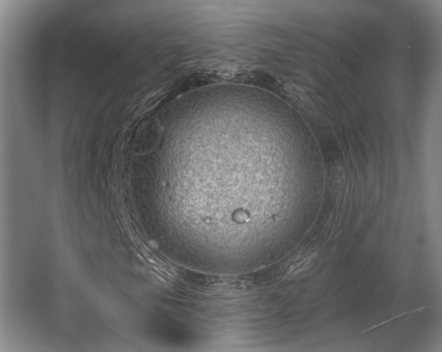 X0000068271105200604241250