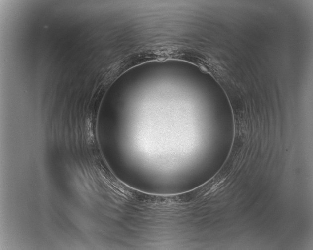 X0000068271106200604241250