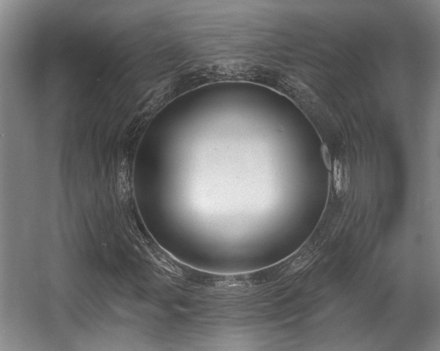 X0000068271107200604241250