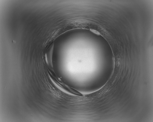 X0000068271108200604241250