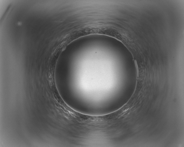 X0000068271109200604241250