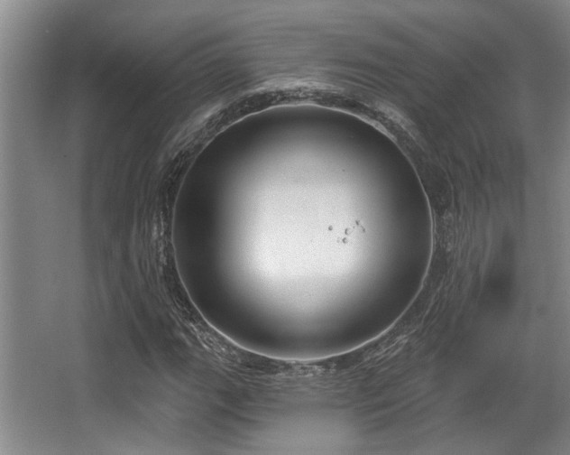 X0000068271111200604241250