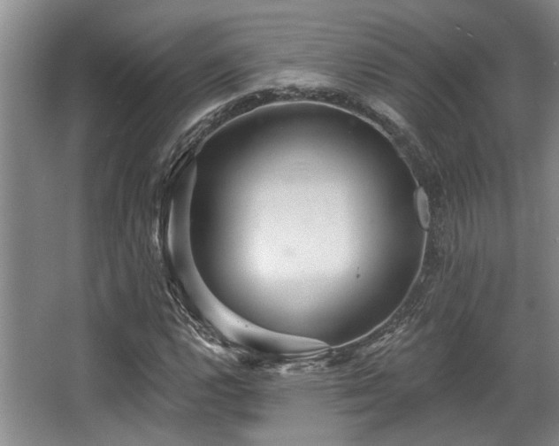 X0000068271112200604241250