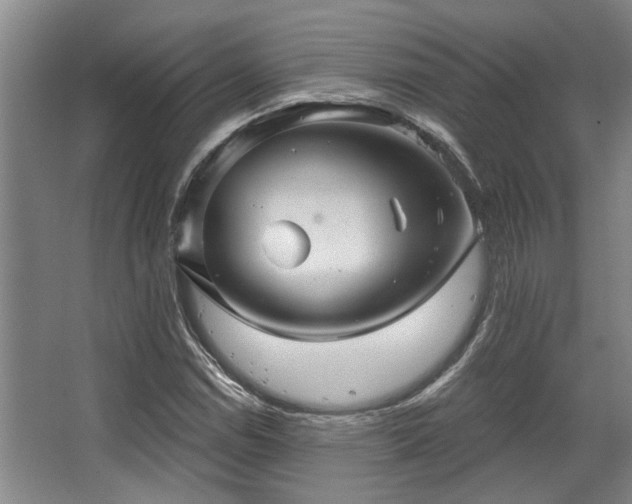 X0000068271114200604241250