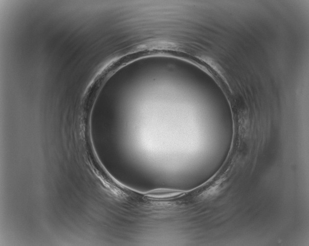 X0000068271115200604241250