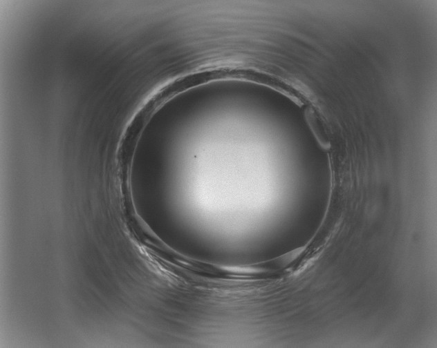 X0000068271118200604241250