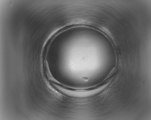 X0000068271120200604241251