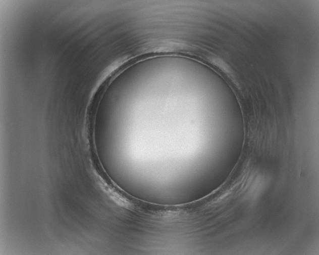 X0000068271122200604241251