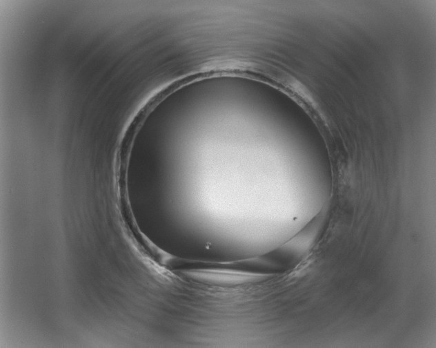 X0000068271124200604241251