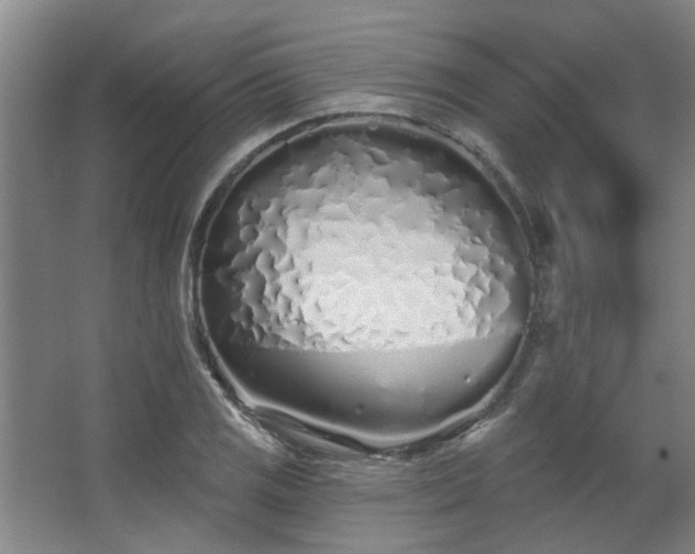 X0000068271125200604241251