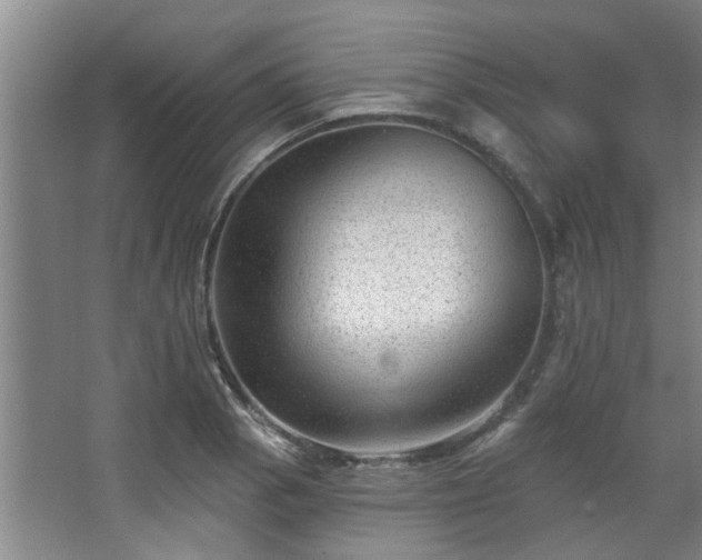 X0000068271129200604241251