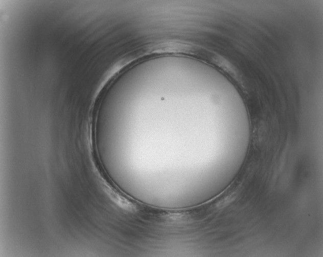 X0000068271130200604241251