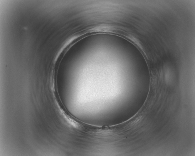 X0000068271131200604241251