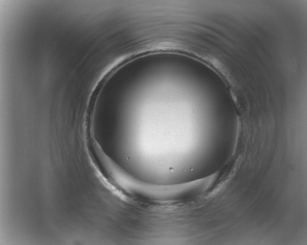 X0000068271134200604241251